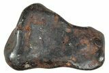 Canyon Diablo Iron Meteorite ( g) - Arizona #243153-1